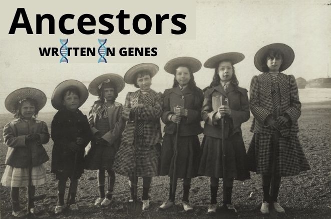 ancestors genes